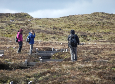 Image of volunteers inspecting timber dams © Les Hughes