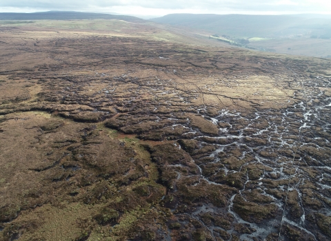 Fleet Moss viewed from the air.