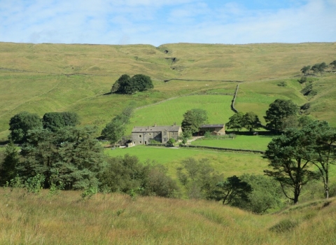 Image of Nethergill