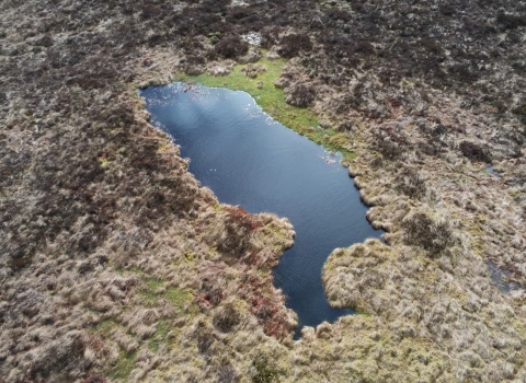 Aerial view of bog pool on Bishopdale.