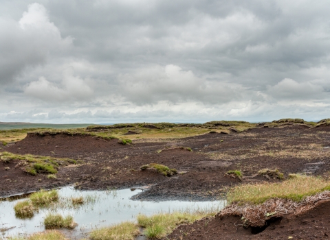 Degraded blanket bog above Raydale.