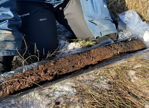 Kingsdale Peat Core