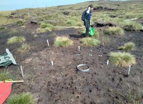 Setting out a plot to conduct greenhouse has monitoring