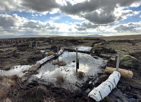 Wool logs installed on bare peat as part of restoration material trial