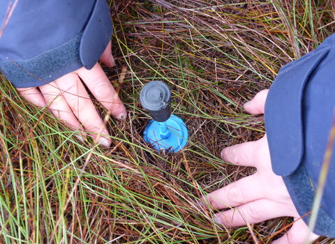 Hands framing a steel rod driven into the peat to measure changes in the water table