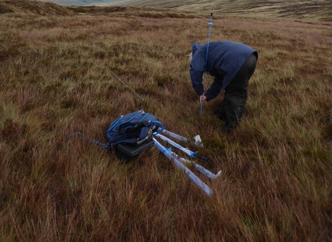 YPP team member inserting steel rod into the peat to measure fluctuations in the water table