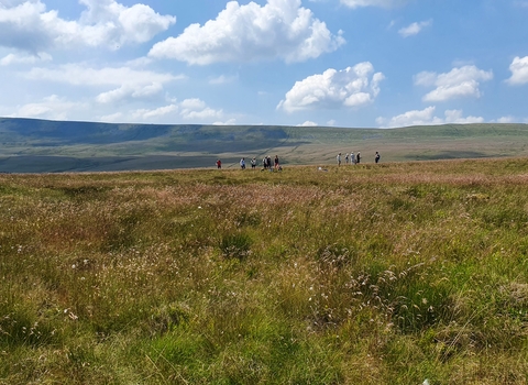 Staff setting up monitoring plots on Kingsdale Head