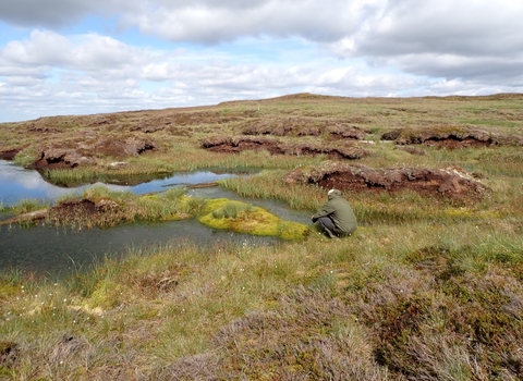 EU LIFE Programme monitor inspecting restoration works at Fleet Moss