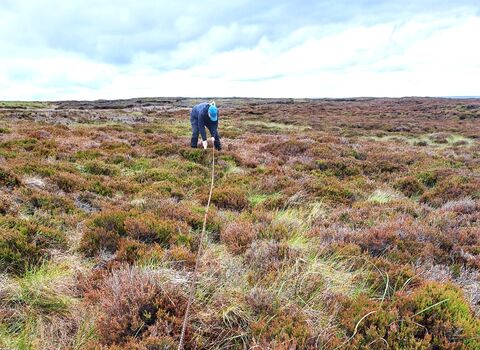 A person crouched on a moor holding two ropes, spread on the ground, at 45 degrees to one another.